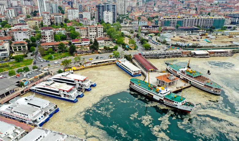 Marmara Denizi pisliğe boğuldu