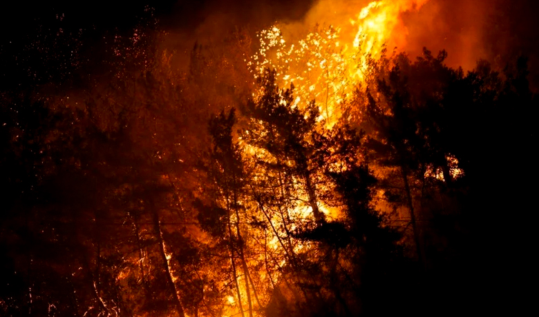 PKK eş zamanlı ormanlarımızı yaktı
