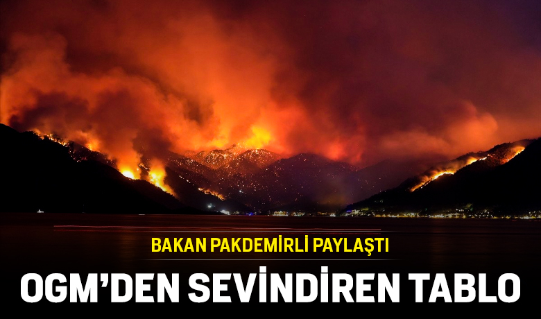 Orman yangınlarında son durum açıklandı