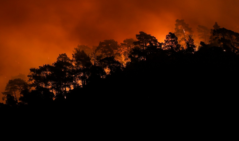 Orman yangınlarında son rakamlar açıklandı