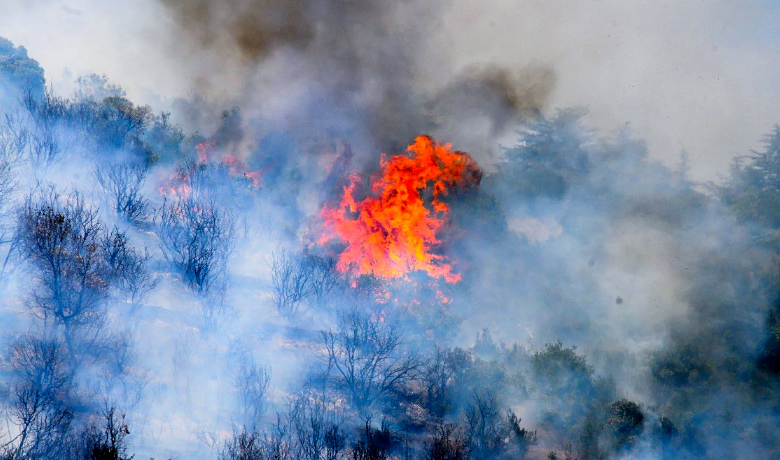 Altun orman yangınlarında son durumu açıkladı