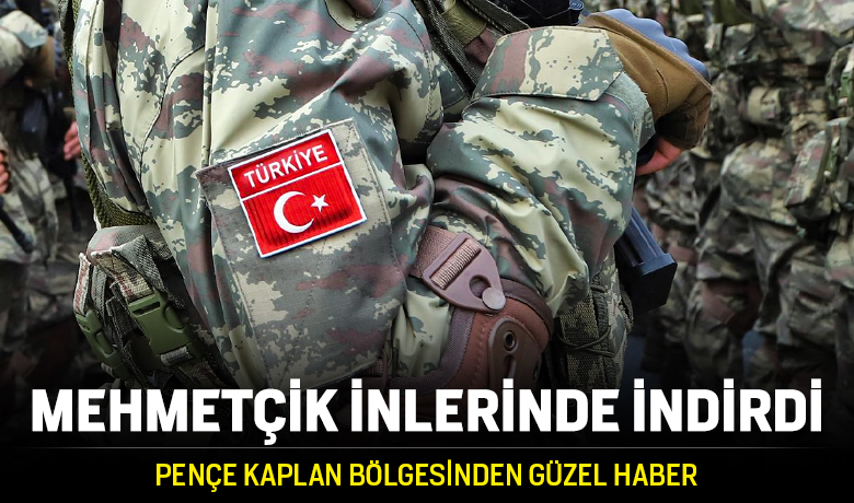 Pençe Kaplan bölgesinde 13 PKK'lı öldürüldü