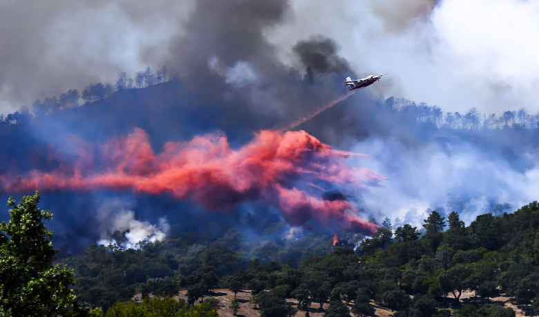 Fransa orman yangınlarını bir türlü durduramıyor