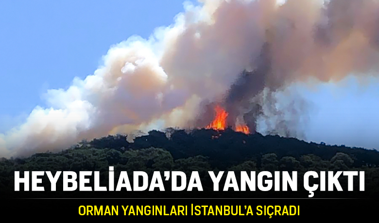 Heybeliada'da ormanlık alanda yangın çıktı